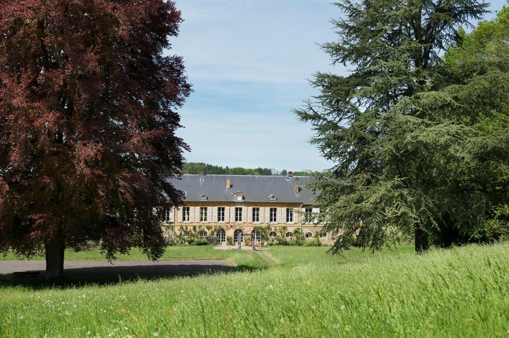 Chateau De Martigny Colmey Экстерьер фото